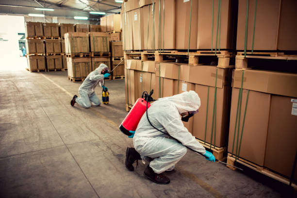 Best Ant Control Services  in Deatsville, AL