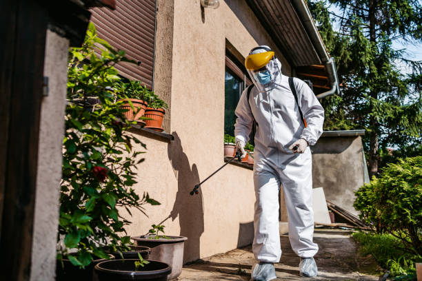 Best Emergency Pest Control  in Deatsville, AL