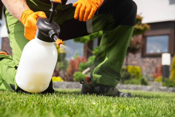 Best Pest Control Treatment  in Deatsville, AL