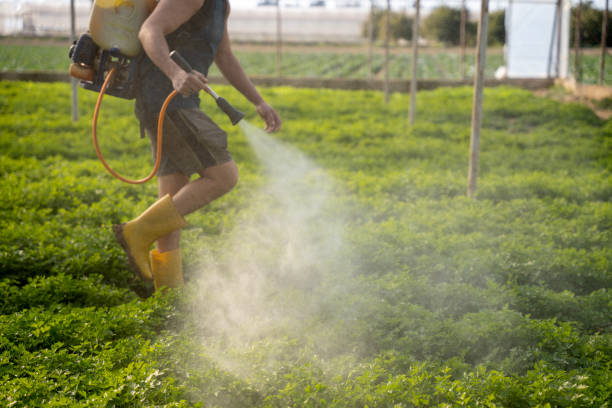 Best Best Pest Control Companies  in Deatsville, AL