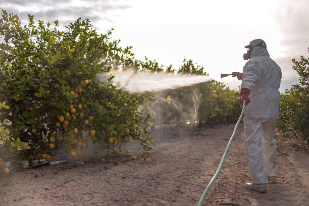 Best Affordable Pest Control Services  in Deatsville, AL