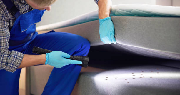 Best Pest Prevention Services  in Deatsville, AL
