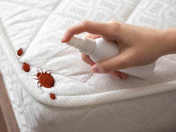 Professional Pest Control in Deatsville, AL