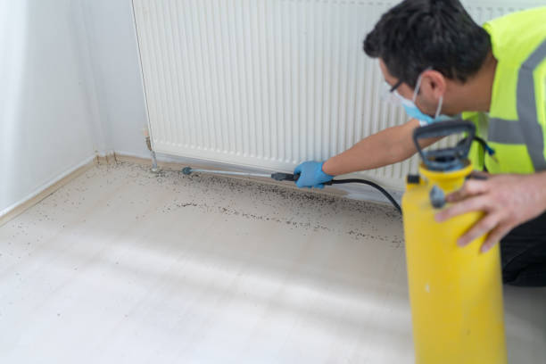 Best Local Pest Control Services  in Deatsville, AL