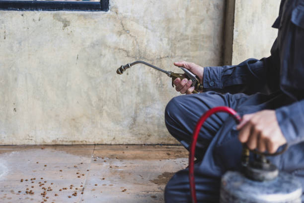 Best Residential Pest Control  in Deatsville, AL