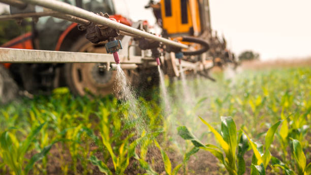 Best Commercial Pest Control Services  in Deatsville, AL